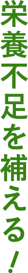 栄養不足を補える！