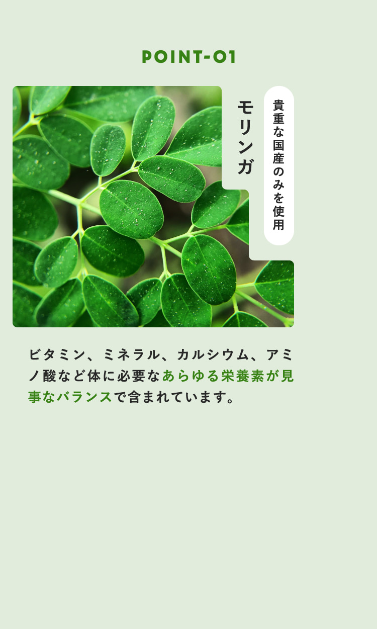 POINT-01