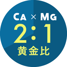 CA×MG 2：1 黄金比
