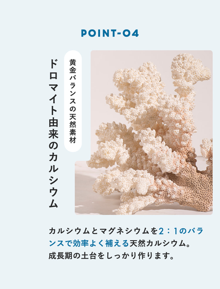 POINT-04