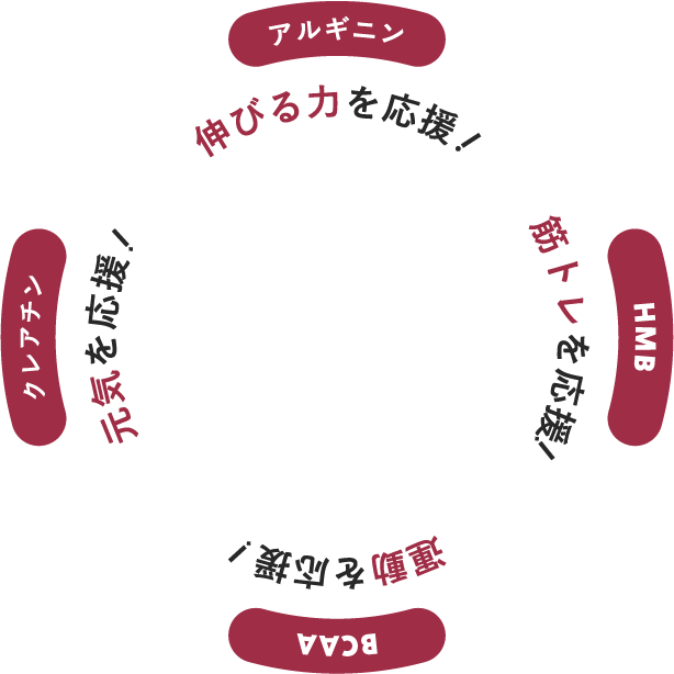 アルギニン HMB BVAA クレアチン
