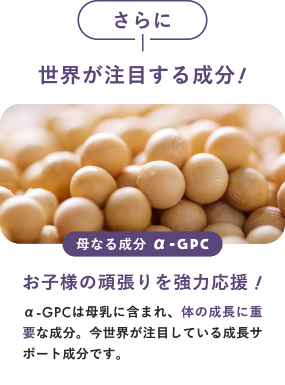 世界が注目する成分！