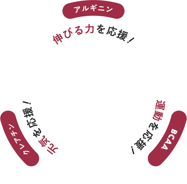 アルギニン HMB BVAA クレアチン
