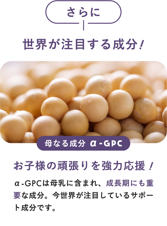 世界が注目する成分!