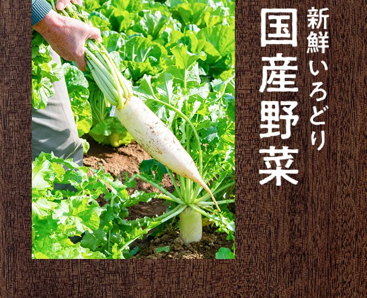新鮮いろどり国産野菜