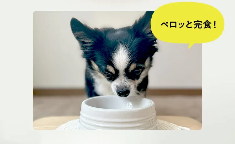 ペロッと完食！