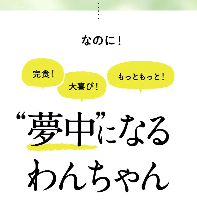 夢中になるわんちゃん