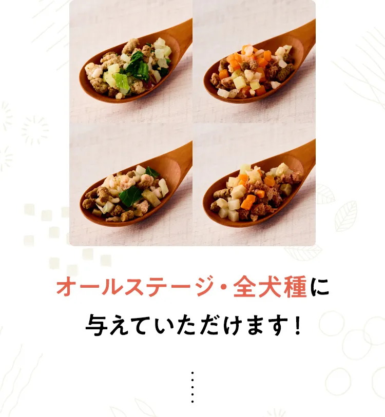 オールステージ・全犬種に与えていただけます！