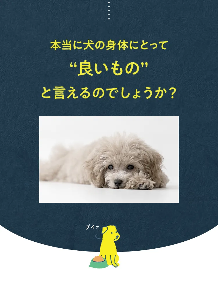 本当に犬の身体にとって良いものと言えるのでしょうか？