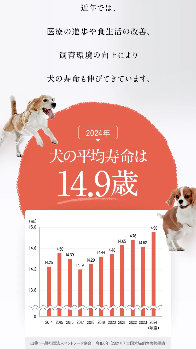 犬の平均寿命は14.9歳