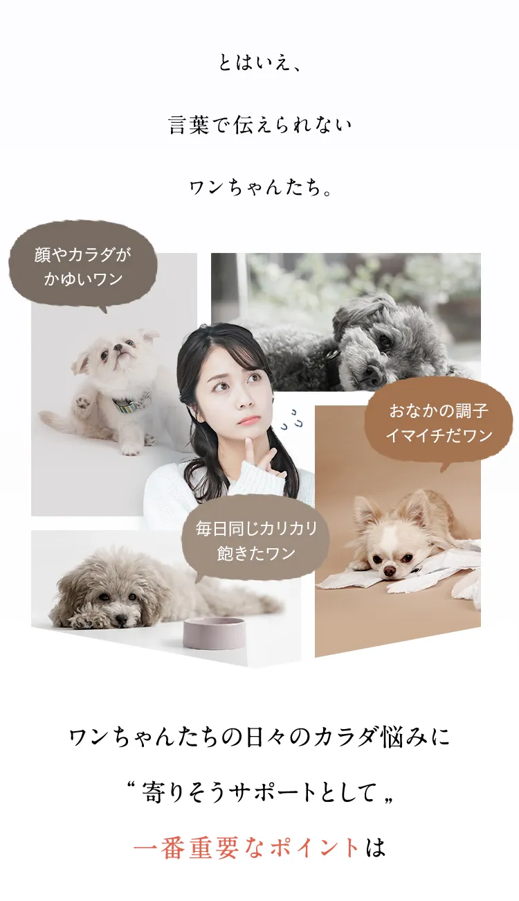 ワンちゃんたちの日々のカラダの悩みに寄りそうサポートとして一番重要なポイントは