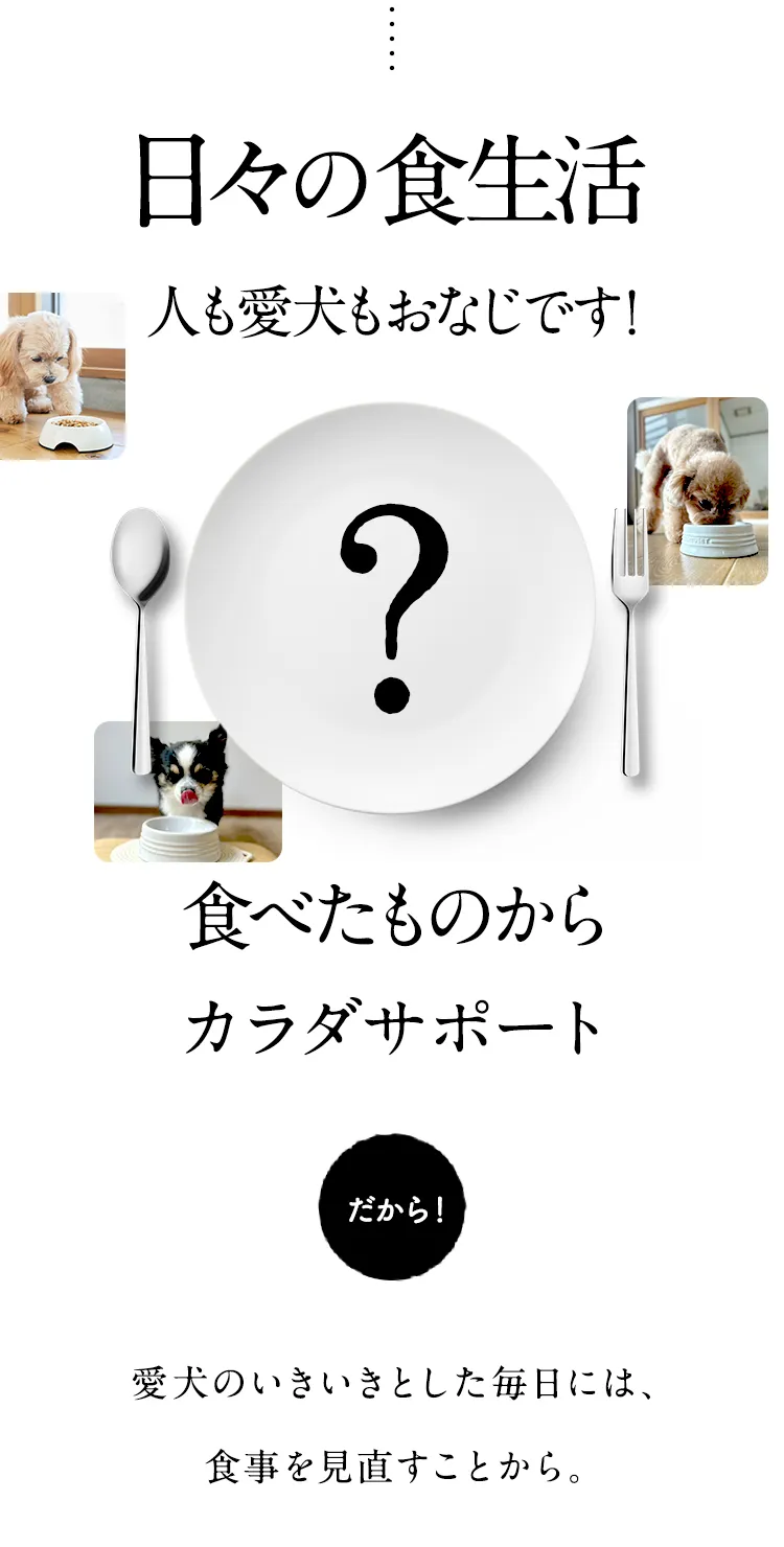 日々の食生活人も愛犬もおなじです！