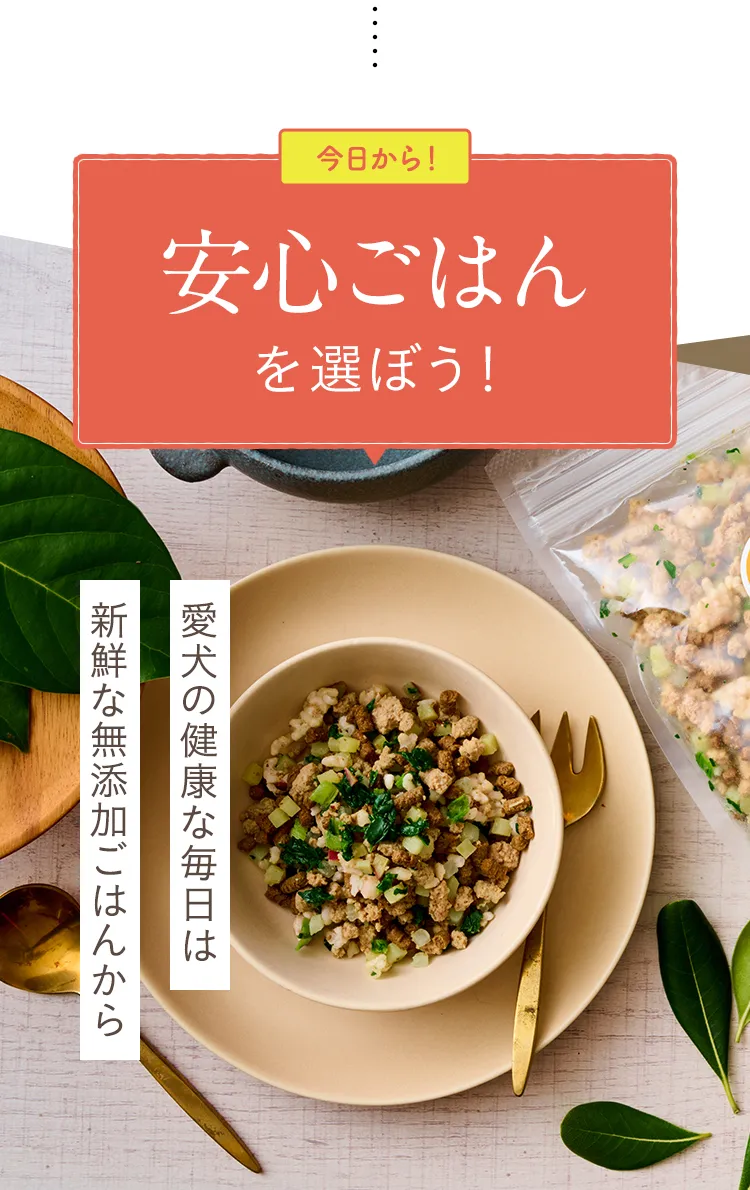 今日から！安心ごはんを選ぼう！