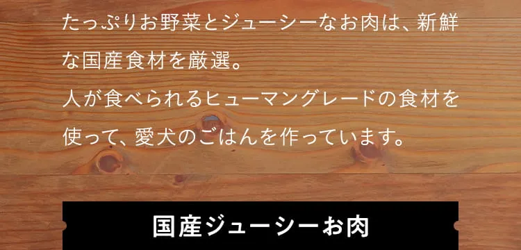 国産ジューシーお肉