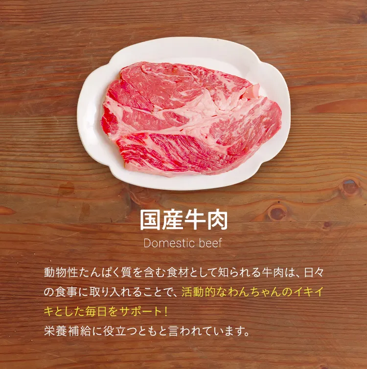 国産牛肉