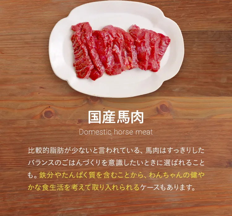 国産馬肉