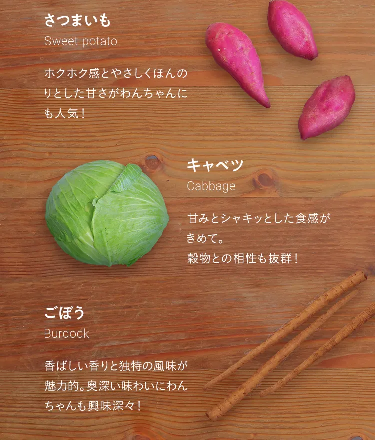 さつまいも キャベツ ごぼう