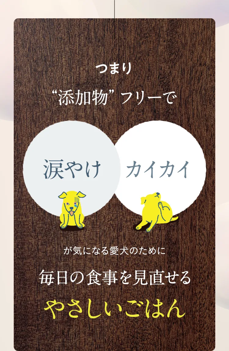 毎日の食事を見直せるやさしいごはん