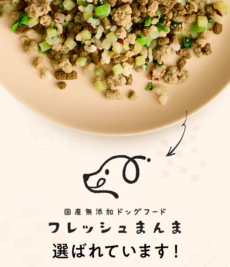 国産無添加ドッグフード フレッシュまんま 選ばれています！