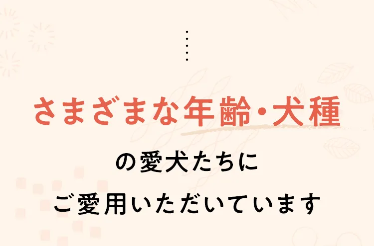 さまざまな年齢・犬種の愛犬たちにご愛用いただいています