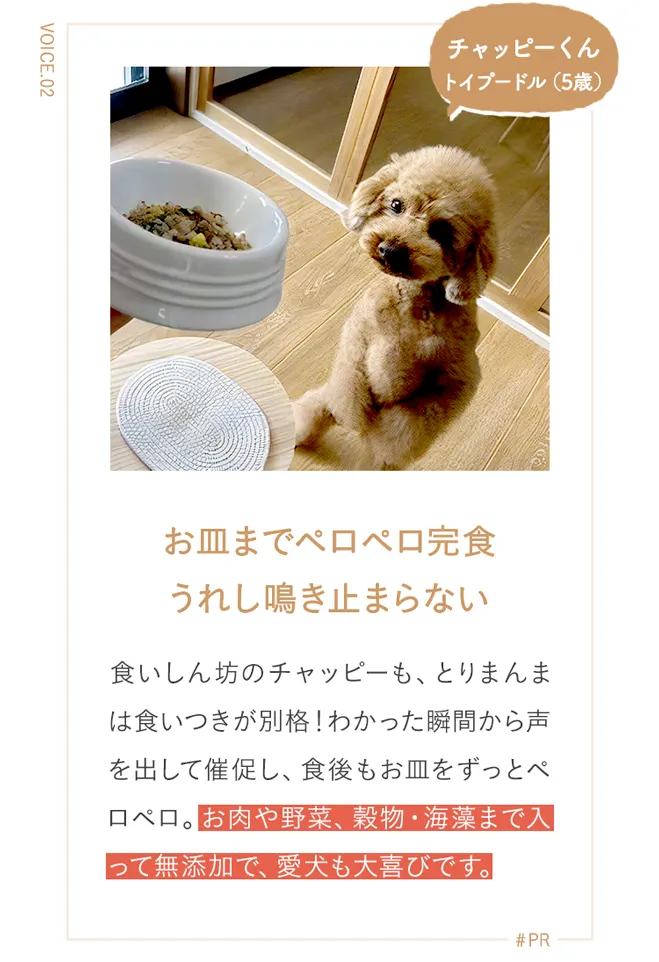 お皿までペロペロ完食 うれし鳴き止まらない