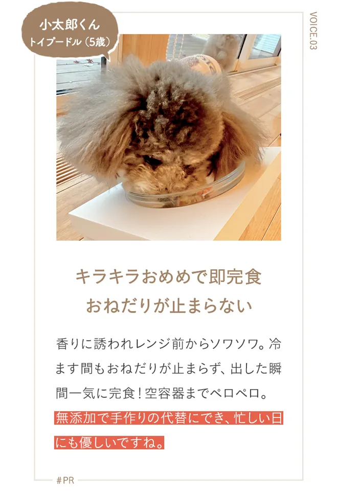 キラキラおめめで即完食 おねだりが止まらない