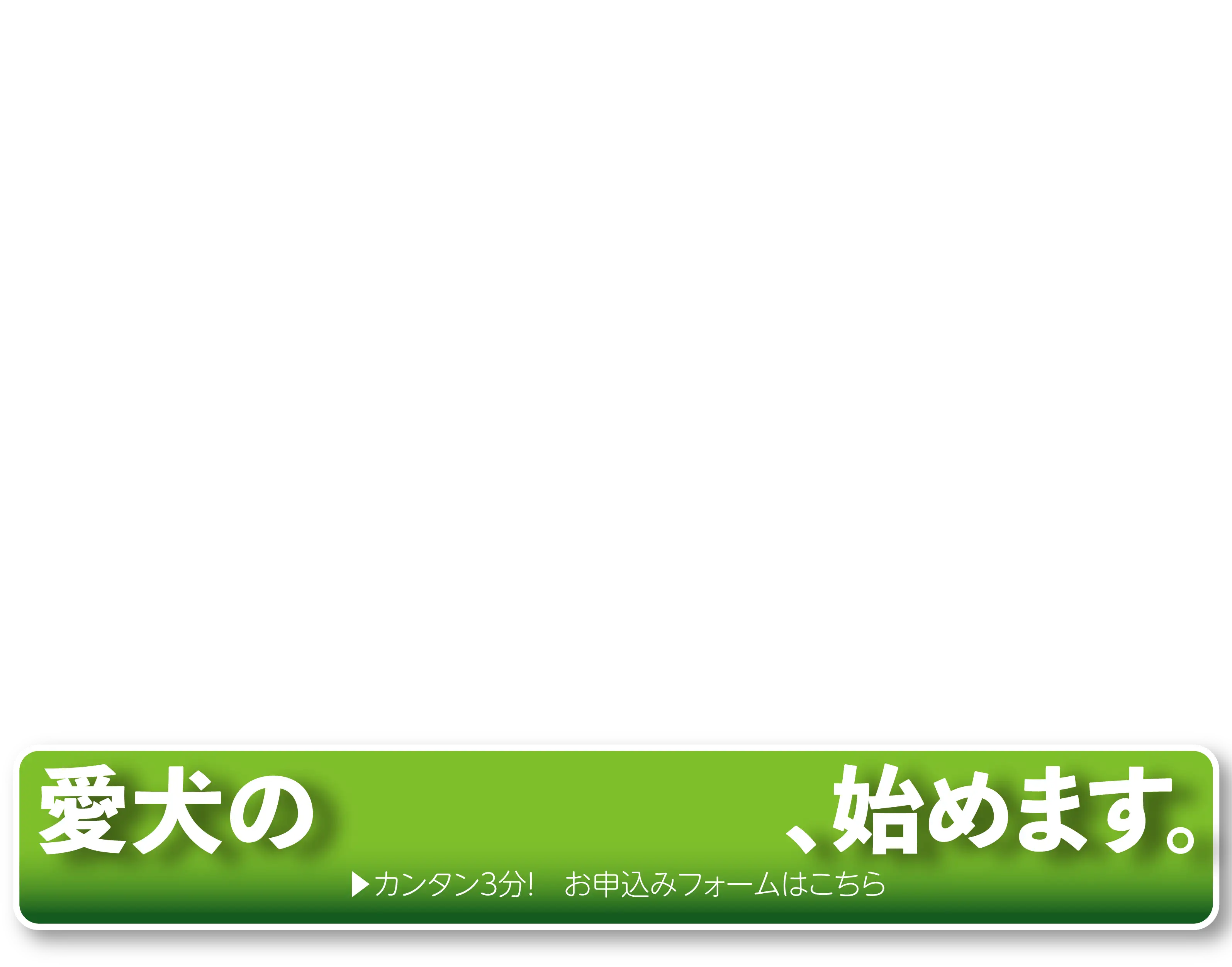 愛犬のごはん改革始めます