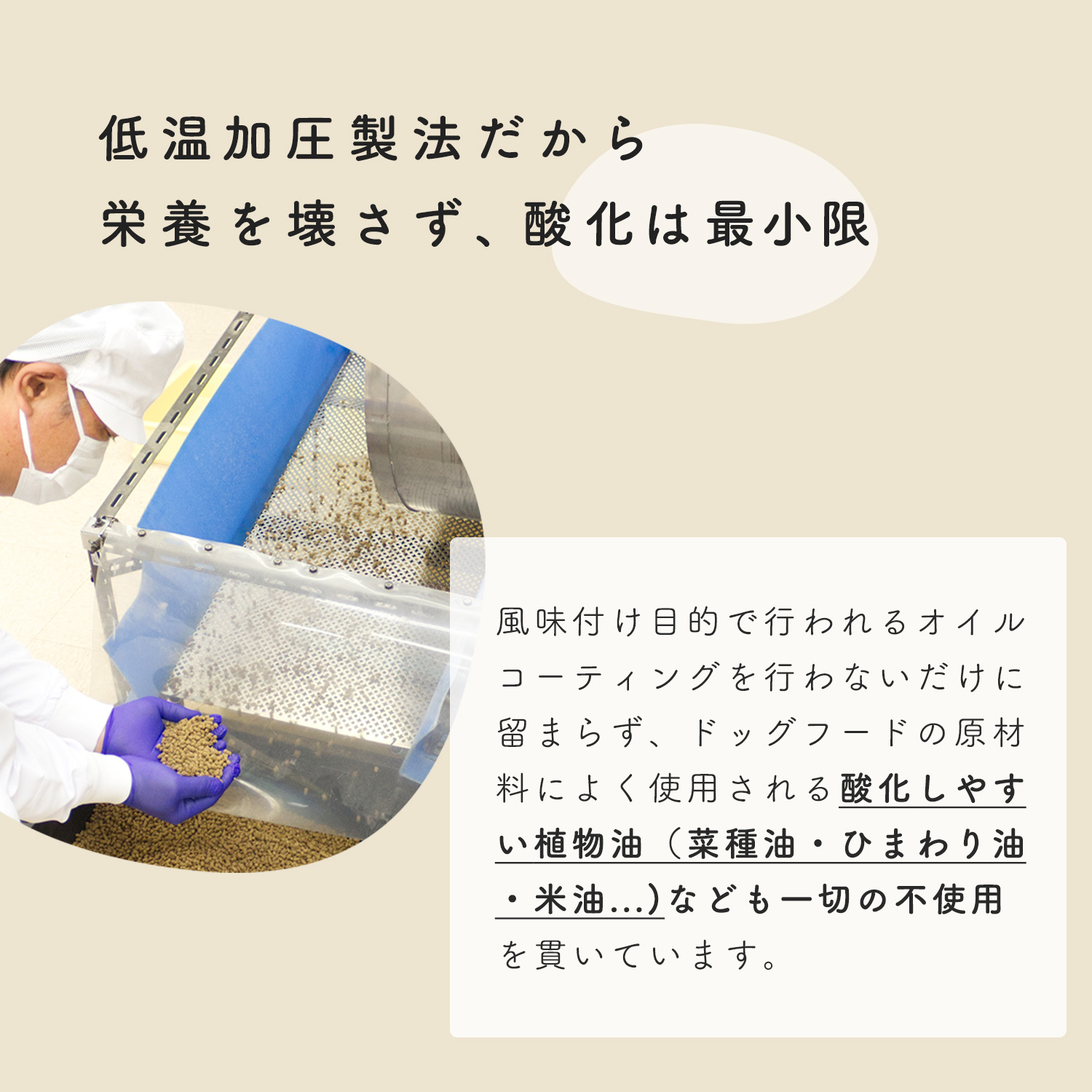 ドッグフード ベーシック 150g