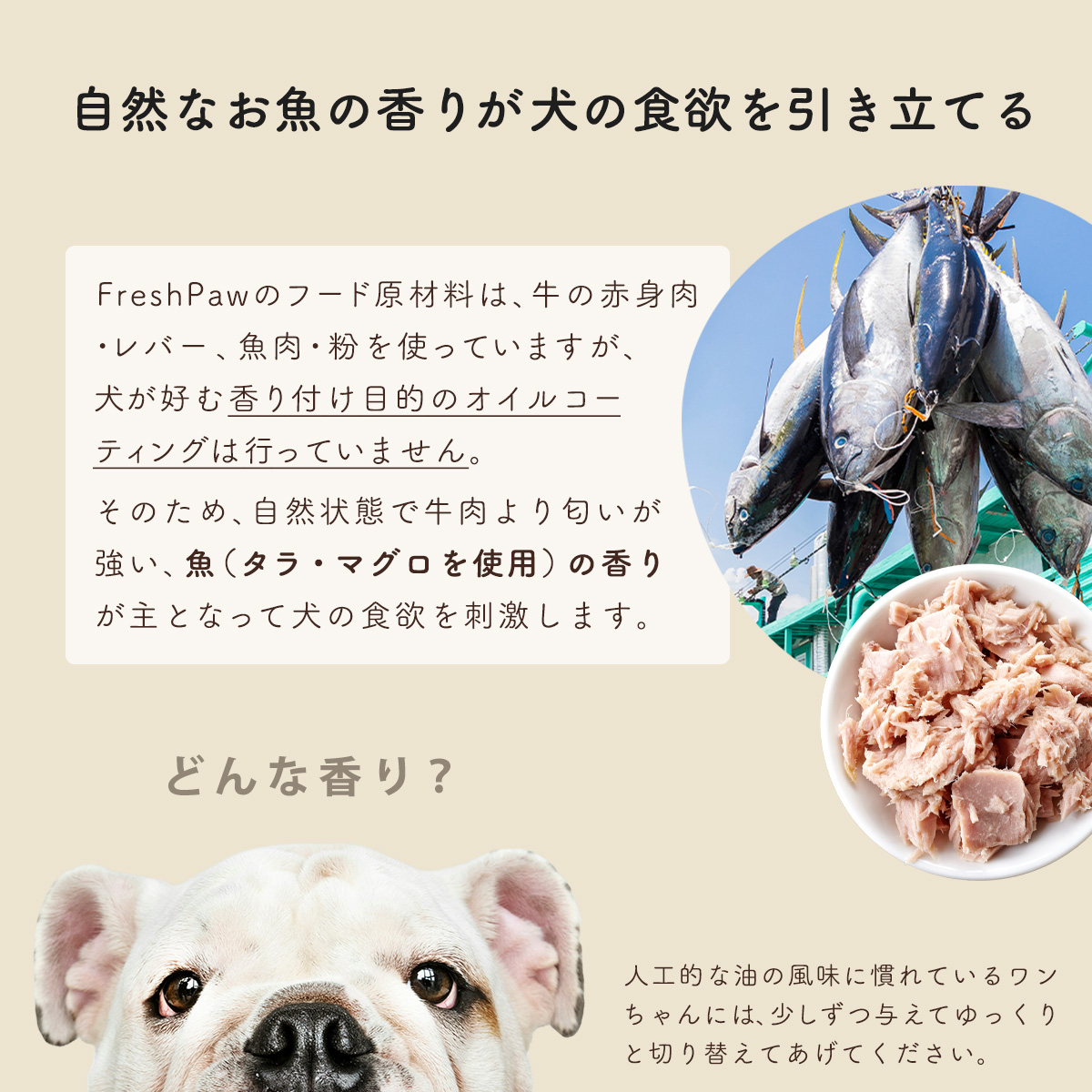 ドッグフード ベーシック 150g