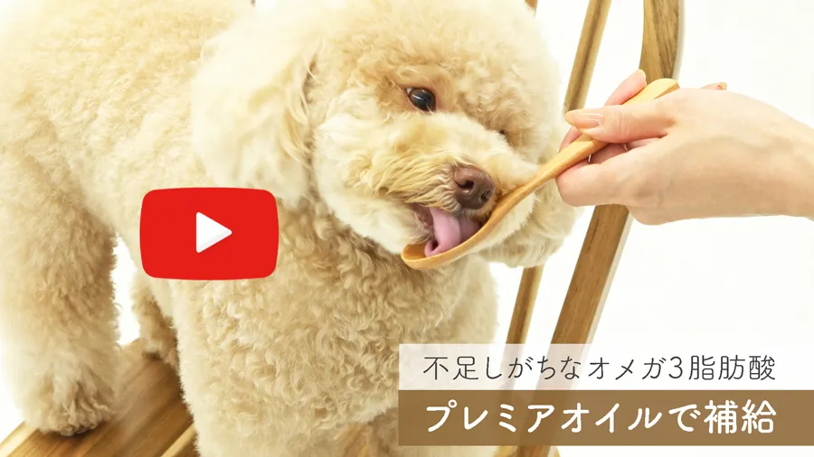 FreshPaw