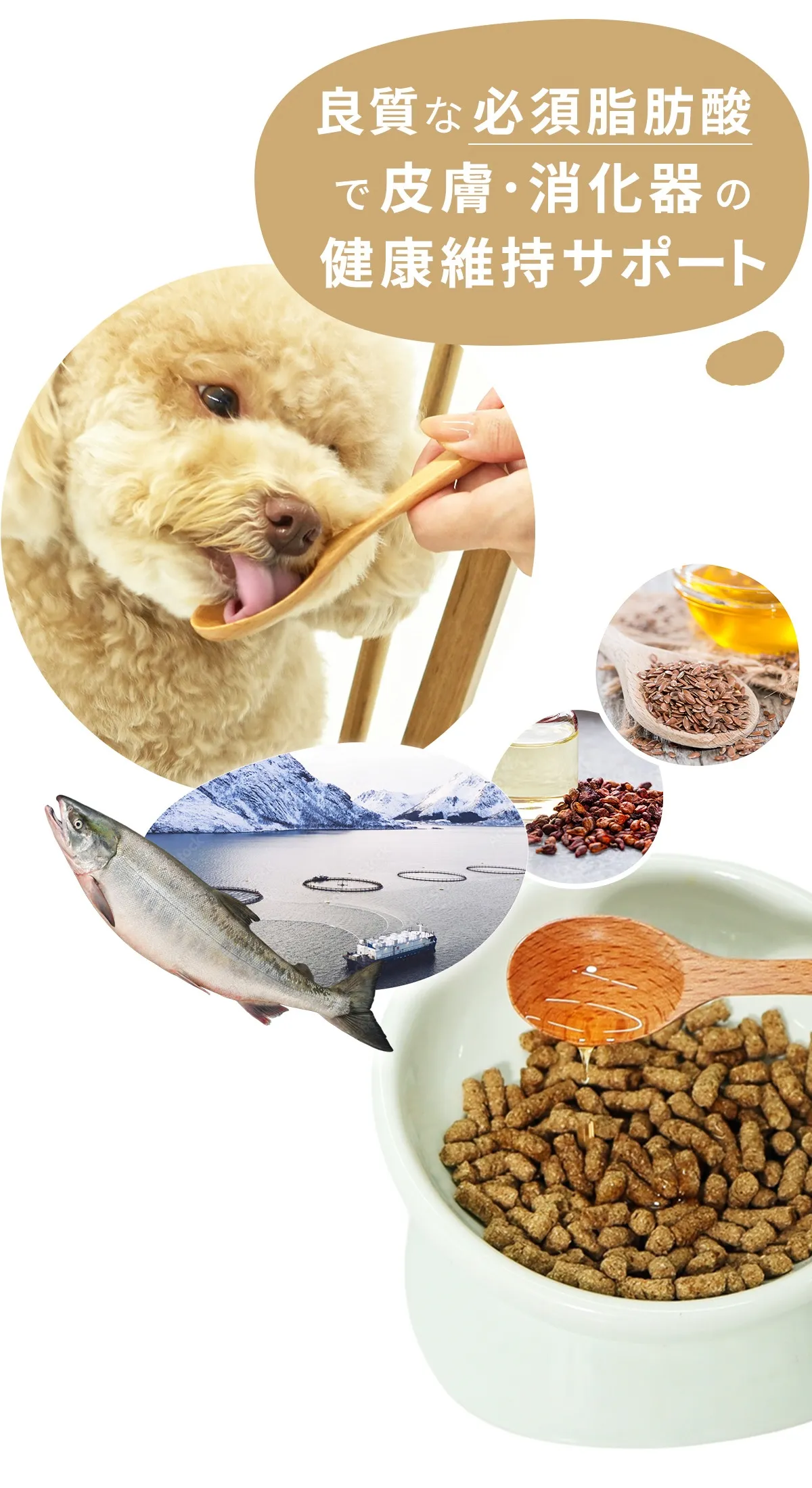 オメガバランスが整う、愛犬ごはん