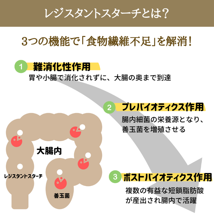 from Banana（スティック） 定期便 【有機JAS認証】