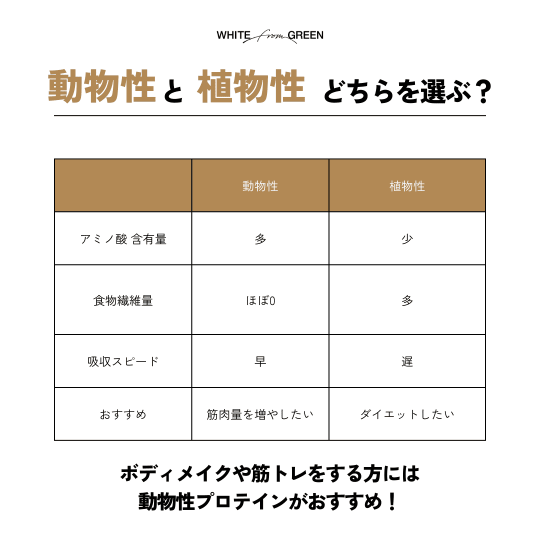 ハイブリッド腸ファイバープロテイン／お試しセット フレーバー: アソート