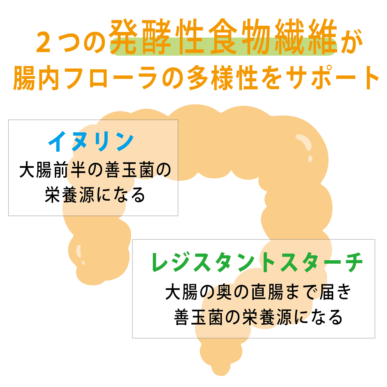 from Bananaおいしさプラス 定期便 【有機JAS認証】