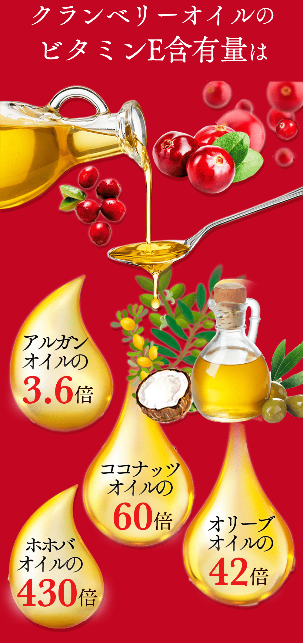 選ばれる3つの理由