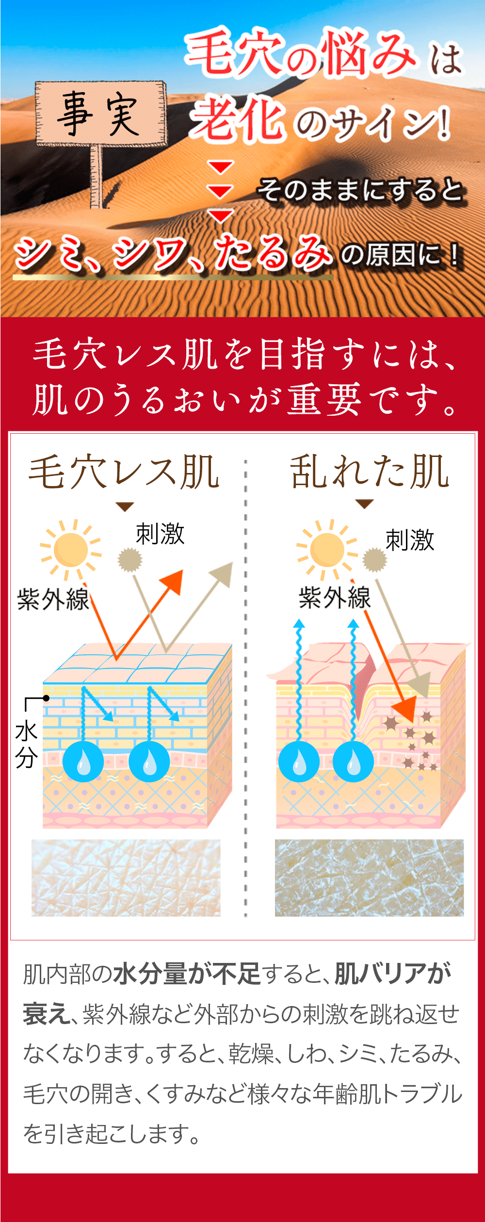 老化のサイン