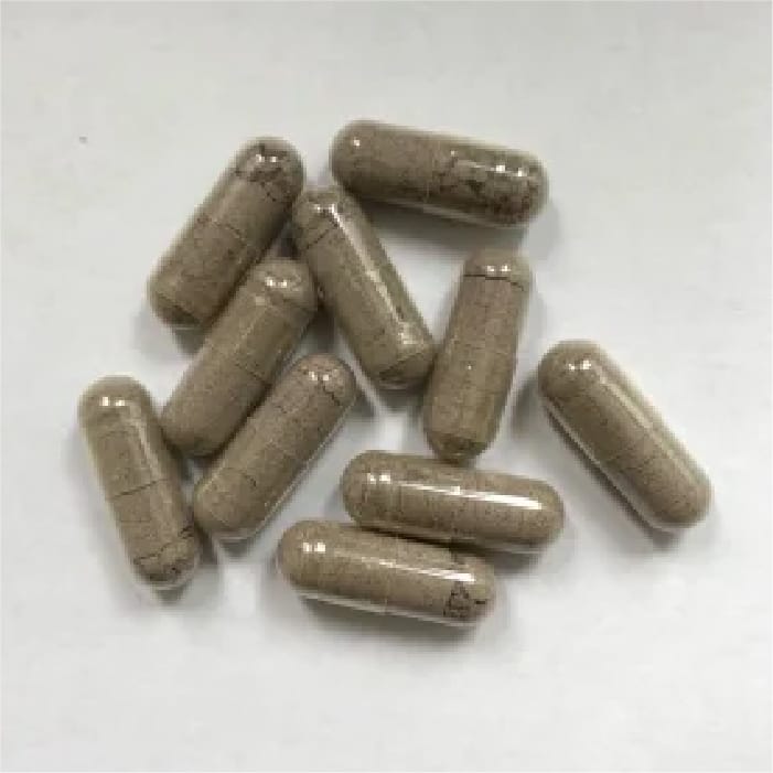 FGHフコイダンカプセル単品（定期会員割10）