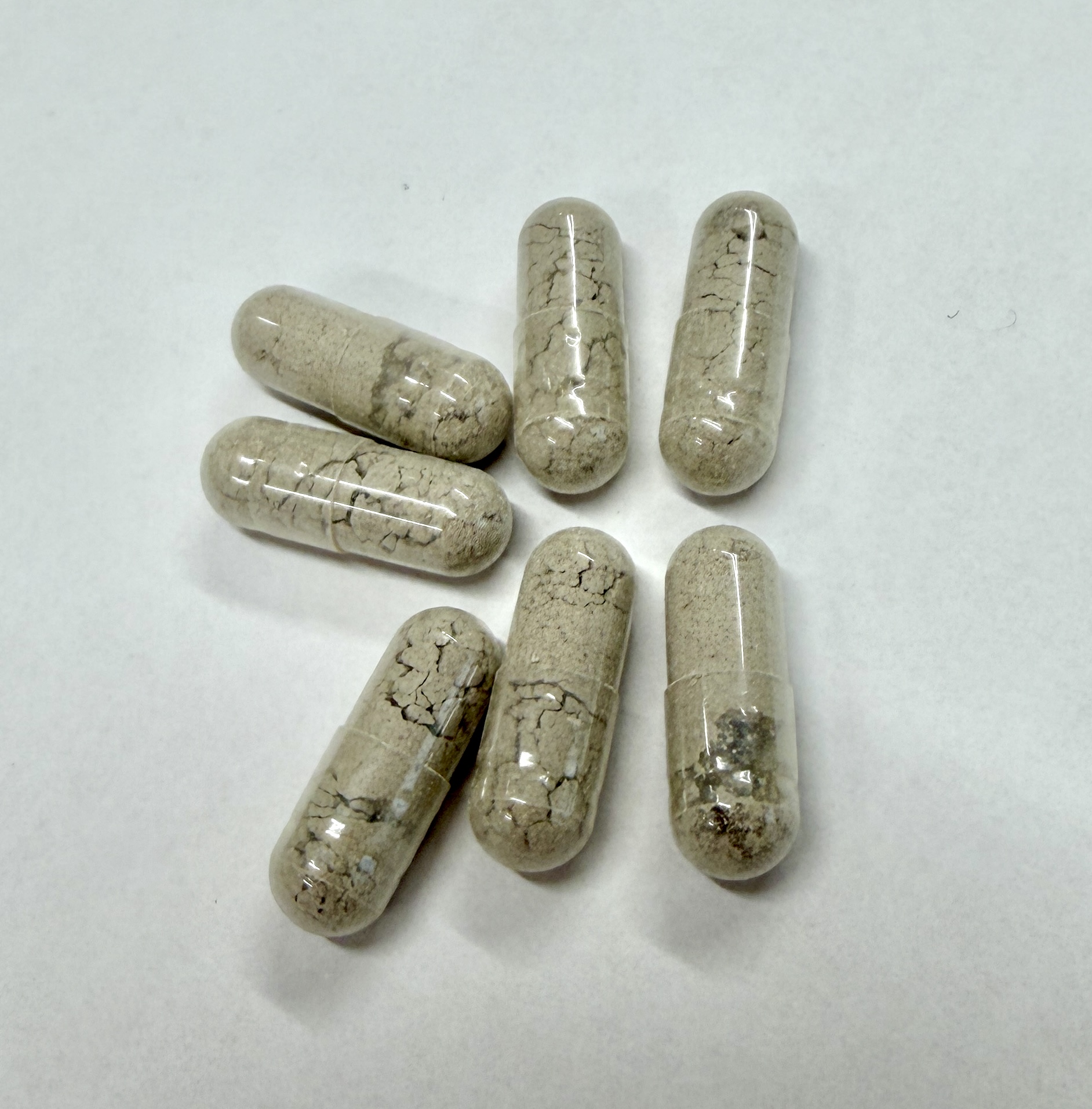 【定期購入】FGHフコイダンカプセル コース選択: 定期購入4袋