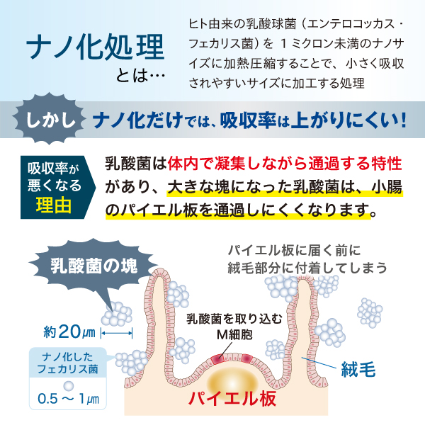 ナノ乳酸菌プラス 【アスリードご利用者様限定 特別トライアル】