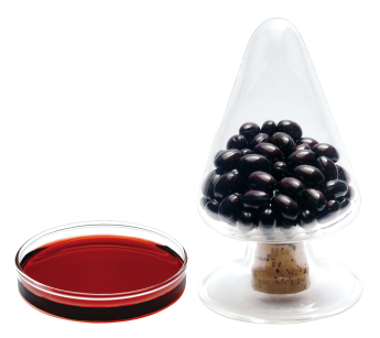 フコキサンチンオイルとカプセル