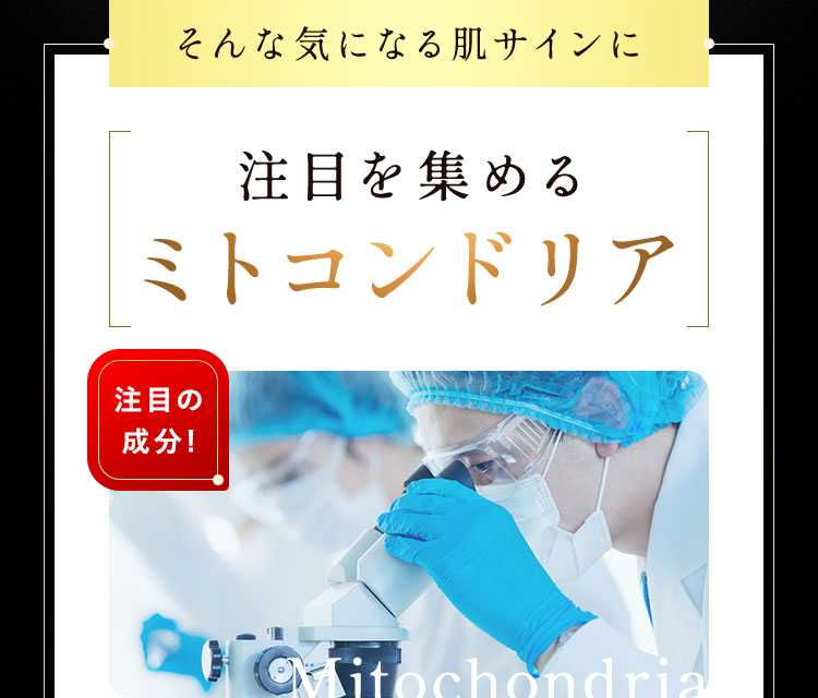 注目を集めるミトコンドリア