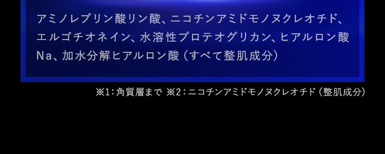 アミノレブリン酸リン酸、ニコチンアミドモノヌクレオチド、エルゴチオネイン、水溶性プロテオグリカン、ヒアルロン酸Na、加水分解ヒアルロン酸（すべて整肌成分）