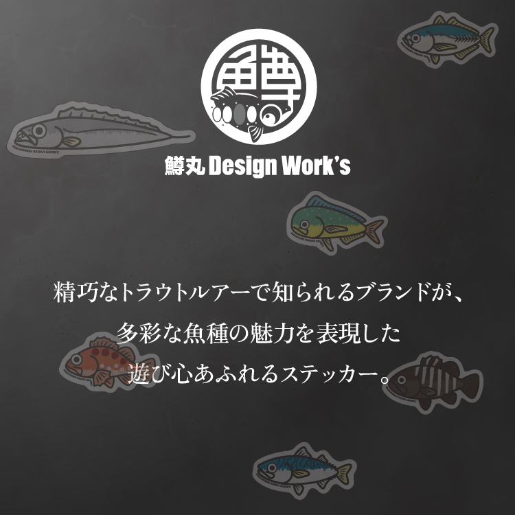 鱒丸Design Work's オリジナルステッカー  種類: アオリイカ