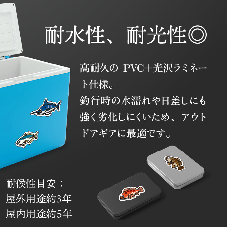 鱒丸Design Work's オリジナルステッカー  種類: アオリイカ