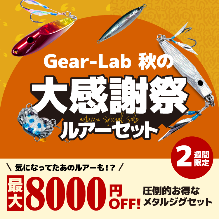 【2026年】秋のメタルジグセット 種類: サバヤンセット, サイズ: 40g