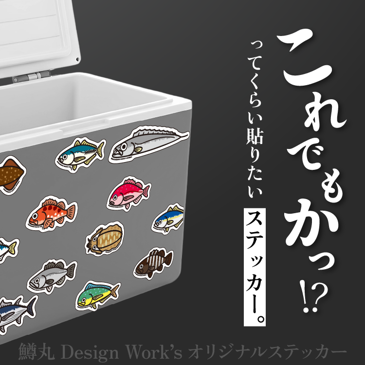 鱒丸Design Work's オリジナルステッカー  種類: アオリイカ