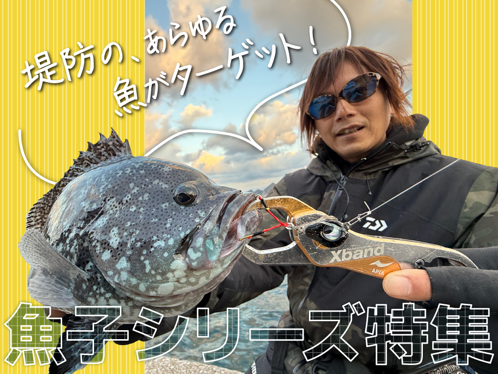 バナー：魚子シリーズ