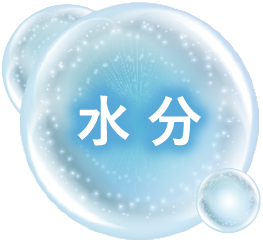 水分