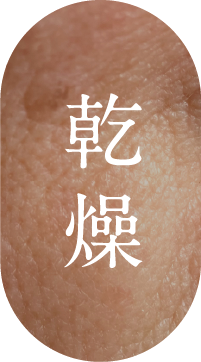 乾燥