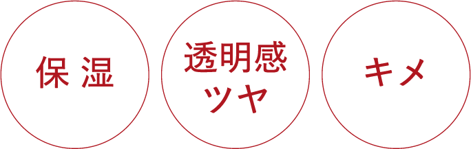 保湿　透明感ツヤ　キメ